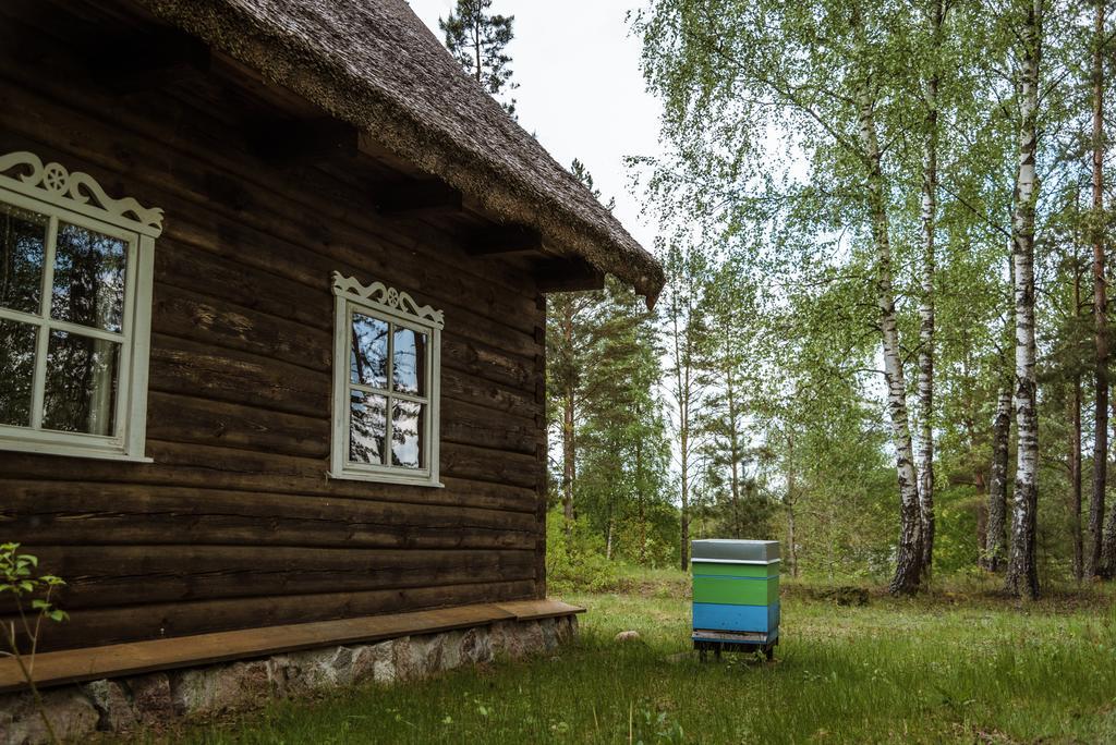 Vilkiskes Vabalyne旅馆 外观 照片