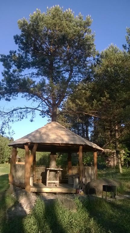 Vilkiskes Vabalyne旅馆 外观 照片